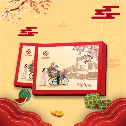 Phố Xuân_201111_DoHogPhuc.jpeg